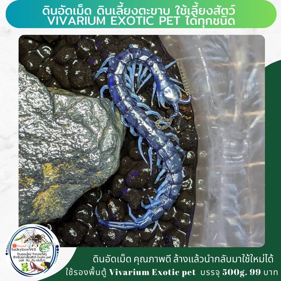 ดินเลี้ยงตะขาบ ใช้เลี้ยงสัตว์ Vivarium Exotic pet 500 กรัม 99 บาท