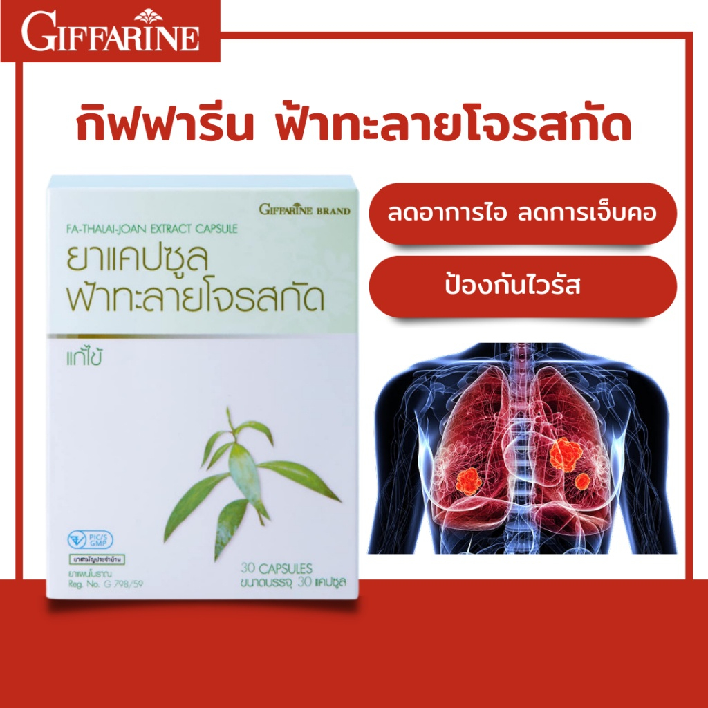 ยาแคปซูลฟ้าทะลายโจร กิฟฟารีน สารสกัดฟ้าทะลายโจร สูตรเข้มข้น สมุนไพร แก้อาการไอ ป้องกันโควิด-19