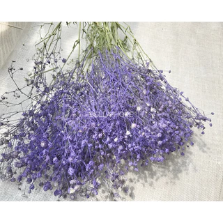 พร้อมส่ง ดอกไม้แห้ง ยิปโซย้อมสี มี2 ขนาด กำเล็ก และกำใหญ่ มีให้เลือกมากถึง 12 สีด้วยกัน