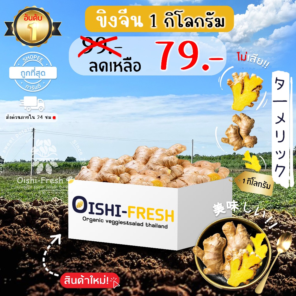 🛒Oishi-Fresh🫚ขิงแก่ ปลอดสารพิษ 1 กก. รสชาติกรอบ สด ใหม่ ใยอาหารสูง หวานออร์แกนิค จัดส่ง 24ชม.