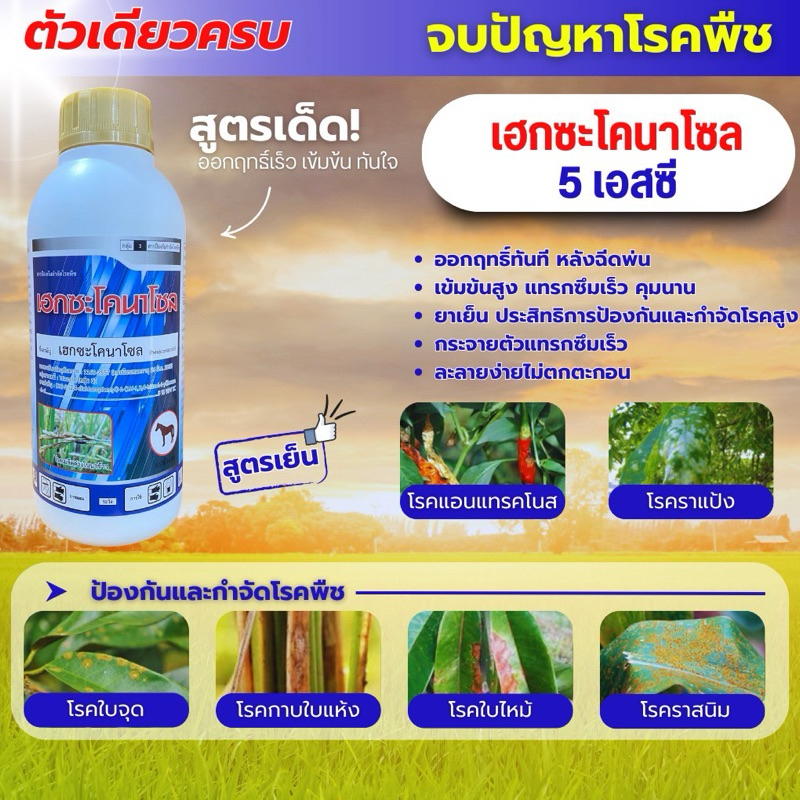 เฮกซะโคนาโซล ขนาด1 ลิตร สารกำจัดโรคพืช เมล็ดด่าง ช่อดำ ราดำ ราแป้ง กาบใบแห้ง ใบติด ทุเรียน
