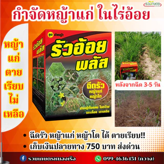 รัวอ้อยพลัส โฉมใหม่ (โปรโมชั่น) สูตรอัพเกรดเพิ่มจำนวนยาในชุด มีถึง 4 ตัว ออกฤกธิ์เร็วแรง ครบจบชุดนี้