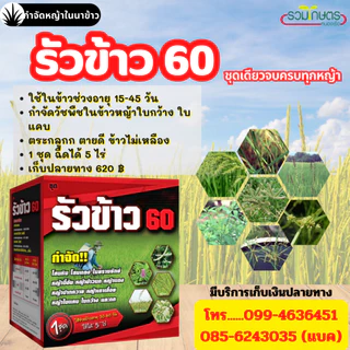 รัวข้าว60 (โปรโมชั่น) ชุดกำจัดหญ้าในนาข้าว กำจัดหญ้าใบแคบ ใบกว้าง กก เหมาะกับข้าวอายุ30-60วันขึ้นไป