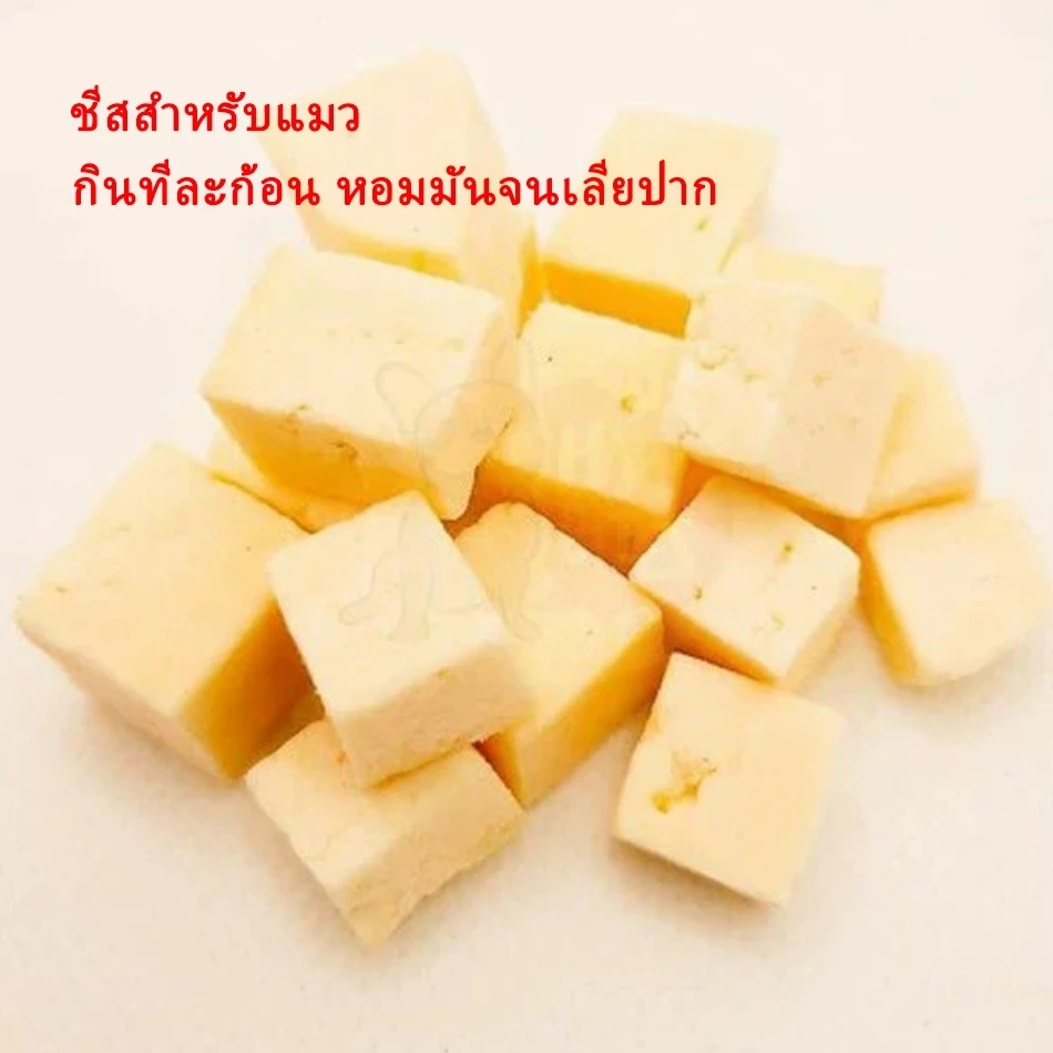 ขนมแมว ชีสอบแห้งฟรีซดราย 20g thumbnail 3
