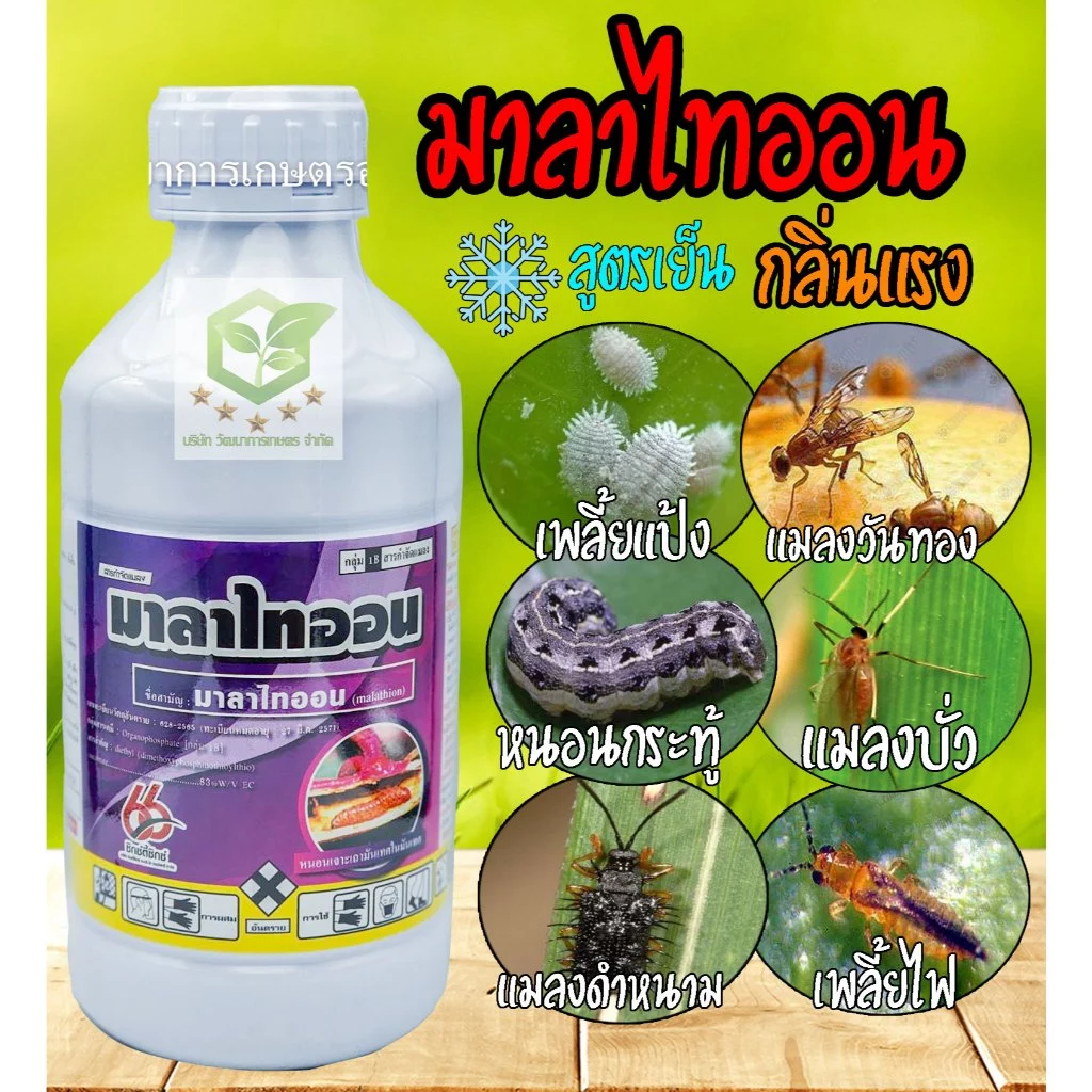 มาลาไทออน 1 ลิตร 66 (สูตรเย็น) เพลี้ยไฟ เพลี้ยจั๊กจั่น เพลี้ยกระโดด แมลงหวี่ขาว มวน หนอน เอ็กซ์มาลา มาลาไธออน