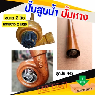 ปั๊มหาง สูบน้ำ ขนาด 2 นิ้ว ท่อยาว 2 เมตร ยี่ห้อ STP