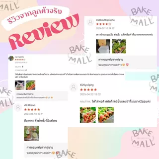 สลัดโรล🥗🥖 Benly BL-15A ฝาล็อค แพ็ค 100 ใบ ขนาด 800ml. กล่องเบเกอรี่ ขนม ใส่สลัดโรล พลาสติกใส OPS ไม่ต้องใช้แม็ก