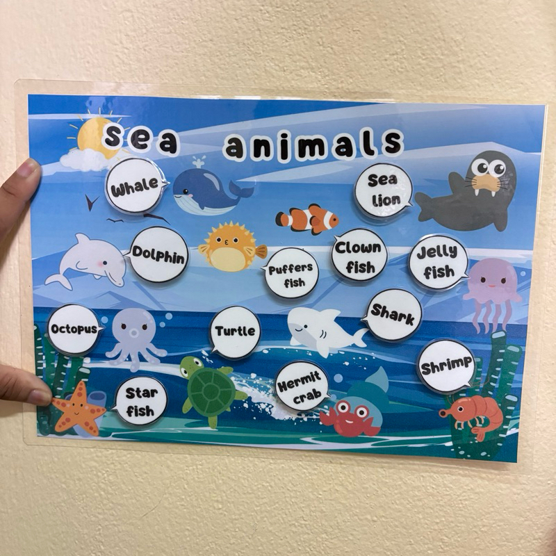 สื่ิอการสอนวิชาภาษาอังกฤษเรื่อง “sea animals"