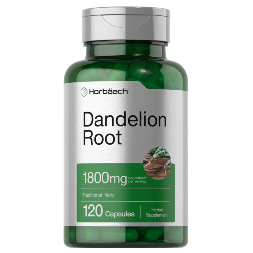 Horbaach Dandelion Root 1800mg per serving | 120 Capsules