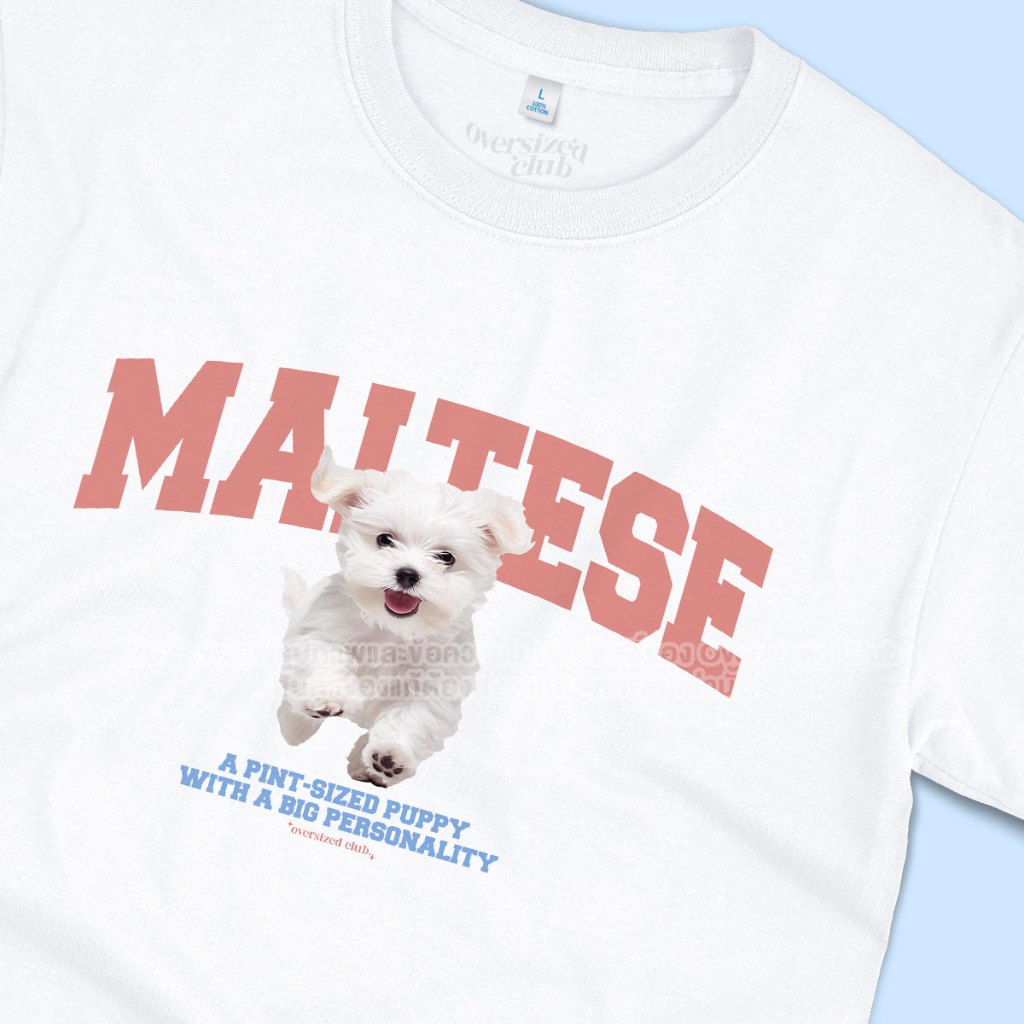 เสื้อยืดสกรีนลายหมามอลทีส Maltese [Classic Cotton 100% by Oversized Club]