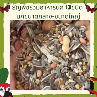ธัญพืช 13 ชนิด (แบ่งขาย 500 G. - 1 KG.) อาหารนก แก้วขนาดเล็ก-กลางทุกสายพันธุ์ มีวอลนัทให้ด้วยนะคับ ราคาถูกใจ