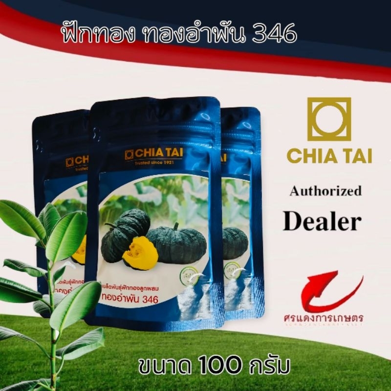 เมล็ดพันธุ์ ฟักทองอำพัน346 100g