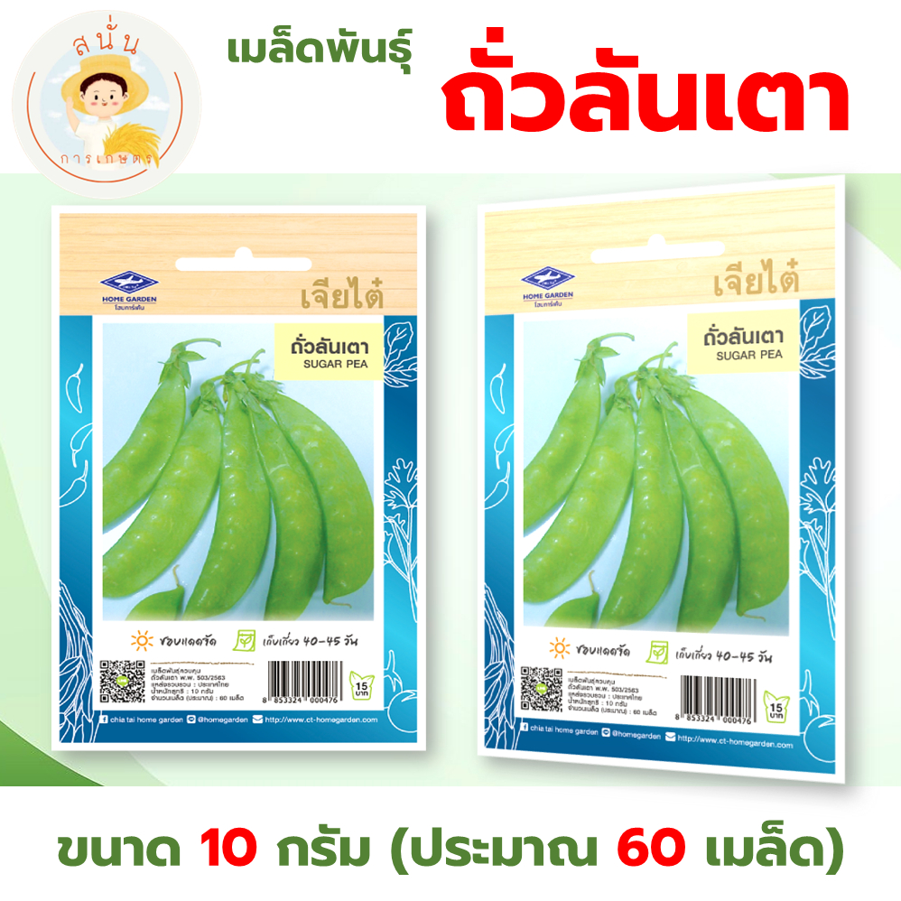 เมล็ดพันธุ์ ถั่วลันเตา (Sugar Pea) ผักซอง เจียไต๋ OP ขนาด 10 กรัม (ประมาณ 60 เมล็ด)