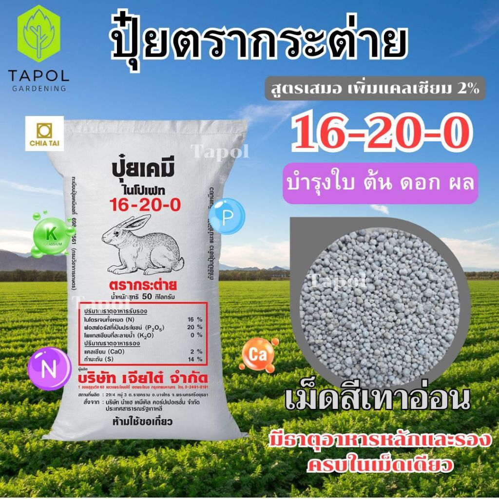 ปุ๋ยตรากระต่าย สูตร 16-20-0 เม็ดสีเทาอ่อน บำรุงต้น ใบ และผล ละลายง่าย พืชนำไปใช้ได้ไว – โปรปัง