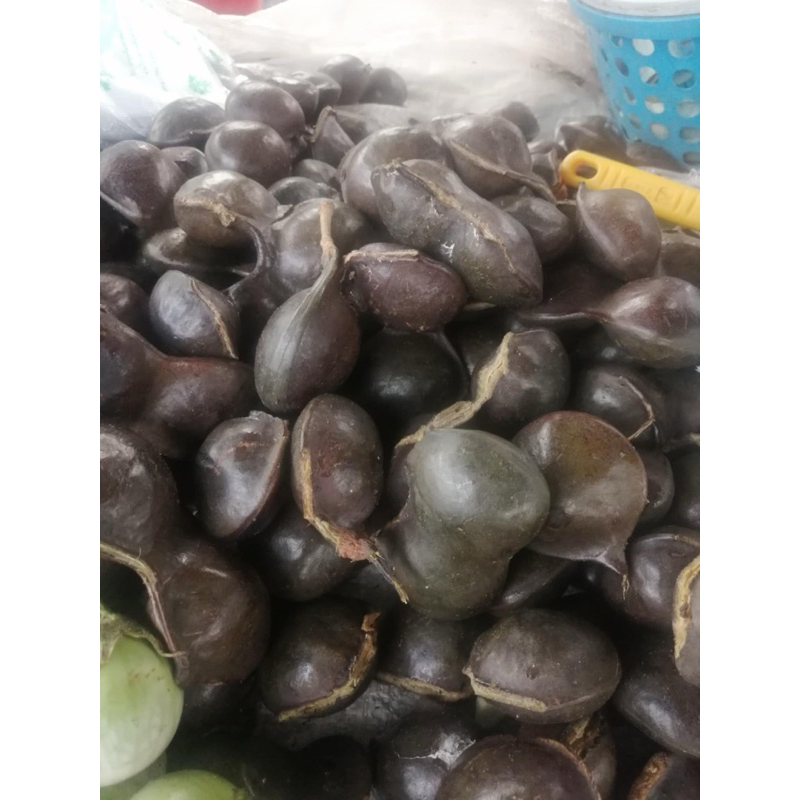 ลูกเนียงสด ภาคไต้ เนื้อดี500กรัม
