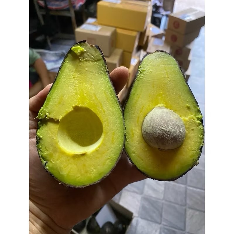 อะโวคาโด้ ตองจี ของพม่า **ขายเป็นกิโล 2-4 ลูกต่อโล **เหนียวมันอร่อยสุดๆ 🥑 - รูปที่ 6