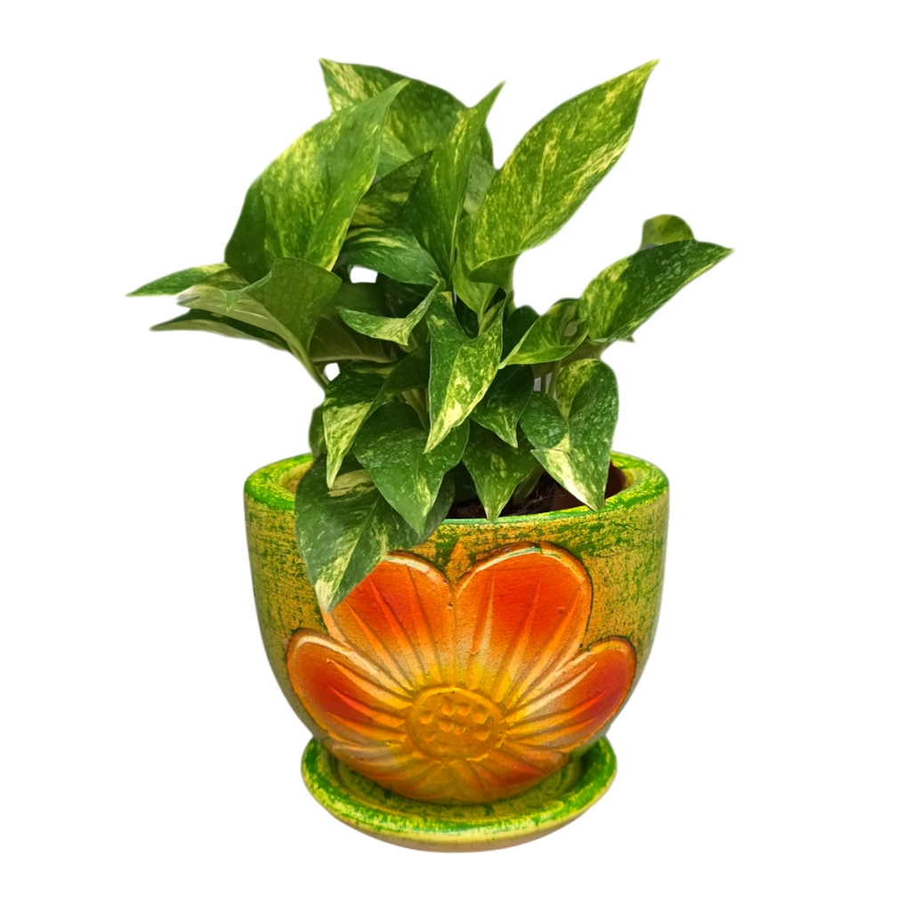 กระถางต้นไม้ ดินเผา 6นิ้ว พร้อมจานรอง มีรับประกันระหว่างจัดส่ง