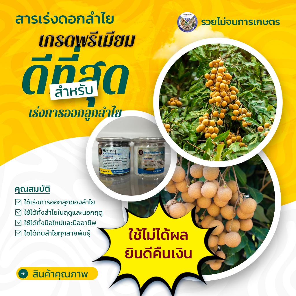 สารเร่งดอกลำไย สูตรสำเร็จ รวมสิ่งที่จำเป็นในการเร่งดอกออกลูก ไว้ในชุดนี้หมดแล้วไม่ต้องใส่อย่างอื่นเพิ่ม ได้ผล 100%