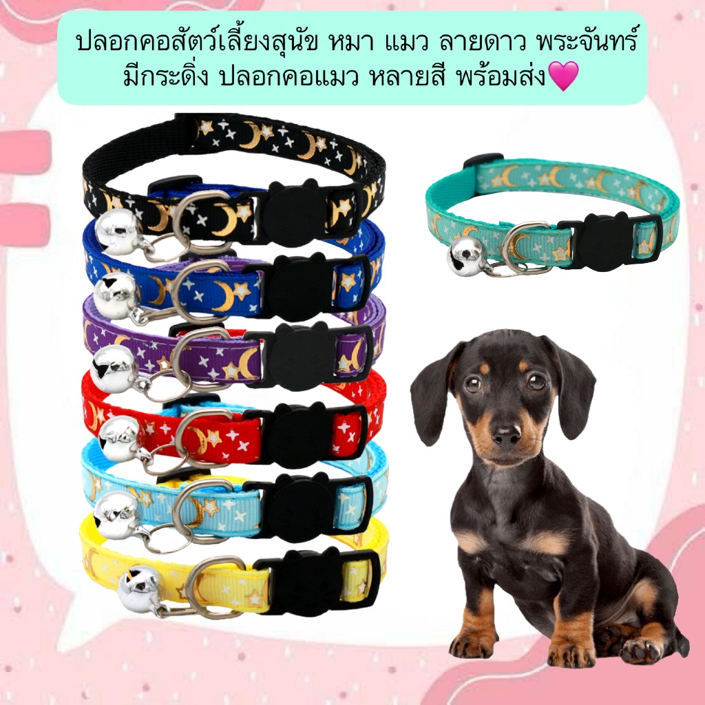 BN-566 🌙✨ ปลอกคอสัตว์เลี้ยง ลายดาวและพระจันทร์ พร้อมกระดิ่งเสียงใส 🩷 สำหรับน้องหมา น้องแมว ที่รักความน่ารักและปลอดภัยทุก