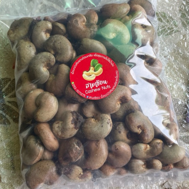 เมล็ดพันธุ์มะม่วงหิมพานต์ศรีสะเกษ60-1,60-2 (แพค 1 กิโล) จำนวน150-180 เมล็ด