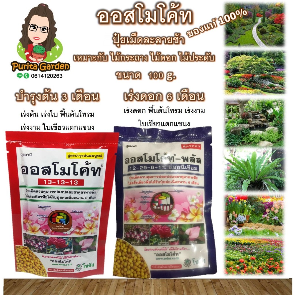 ปุ๋ยเม็ดออสโมโค้ท บำรุงต้น & เร่งดอก สูตร ละลายช้า ขนาด 100 กรัม สินค้าตามปก บรรจุหีบห่อจากโรงงาน