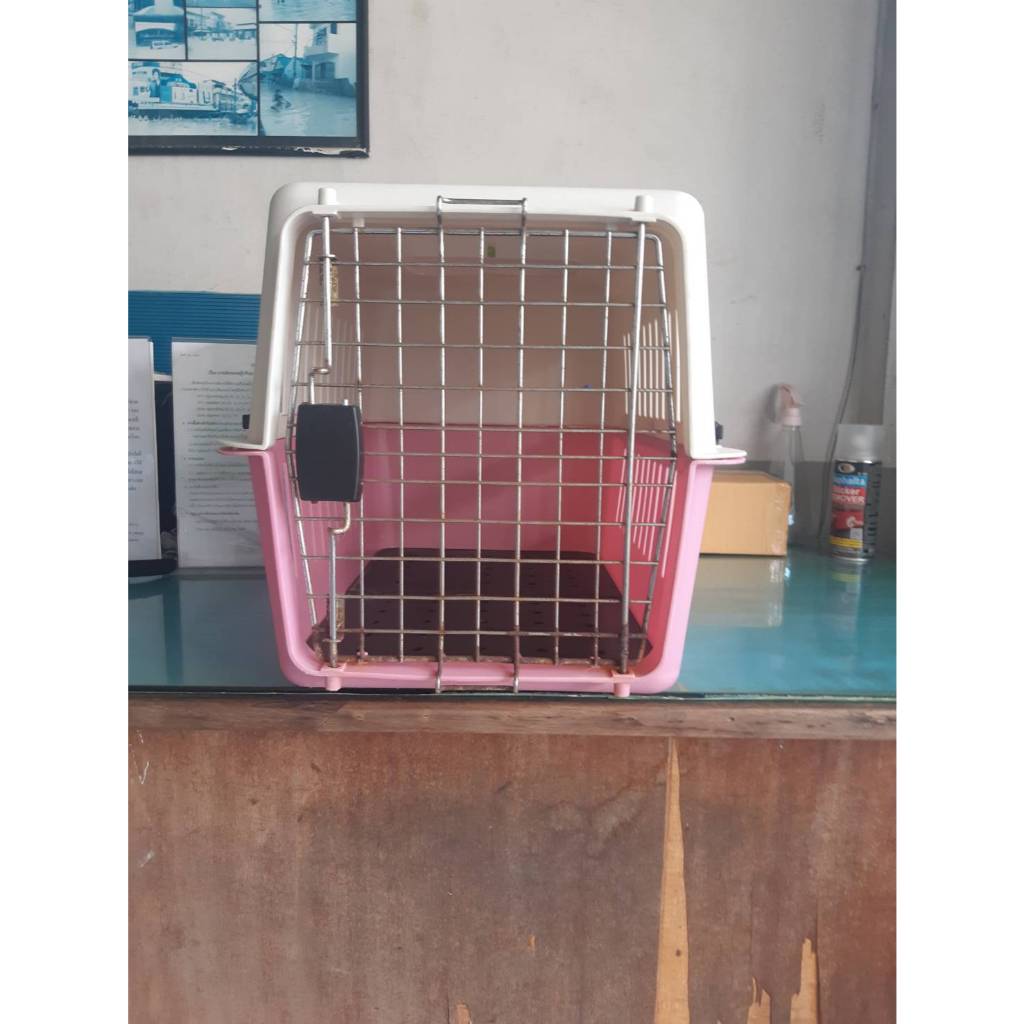 กรงหิ้ว สัตว์เลี้ยง หมา แมว สุนัข นก มือสอง