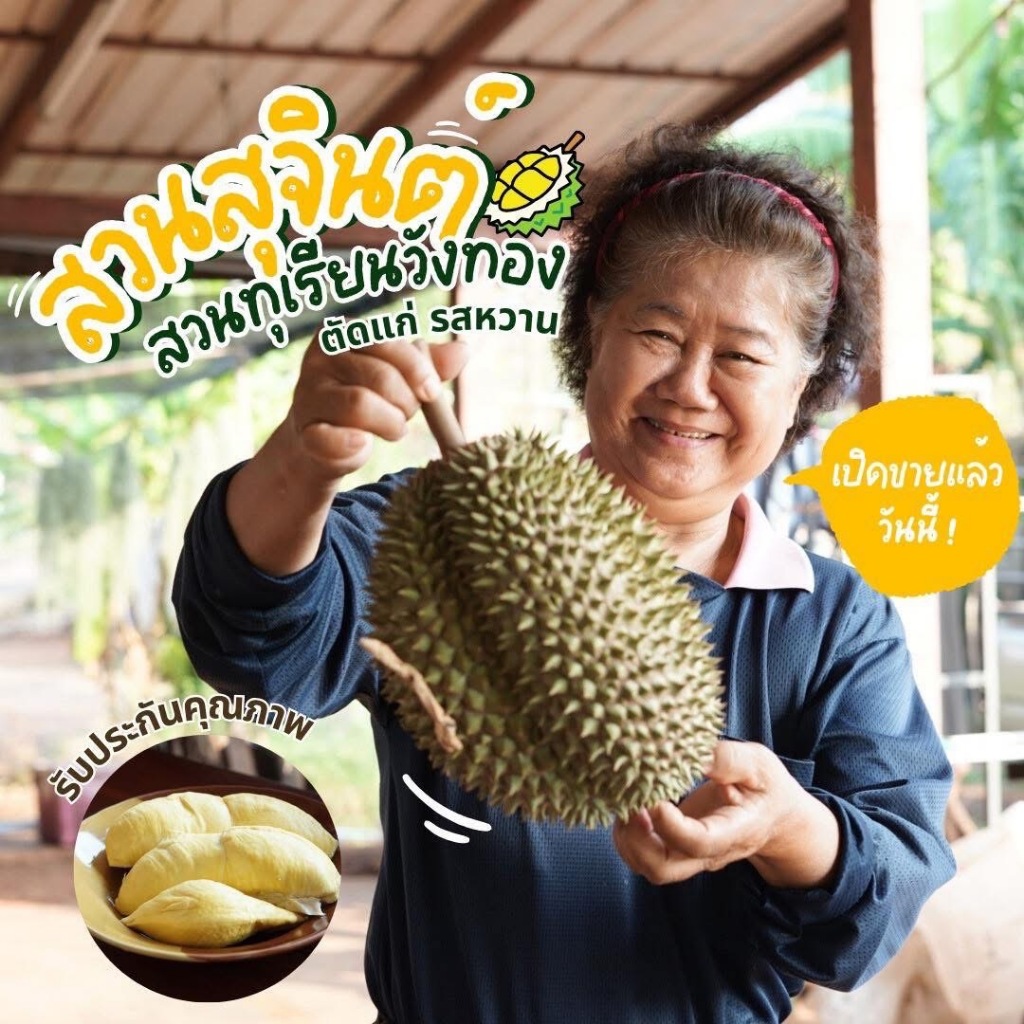 ทุเรียน เกรด ส่งออก พร้อมส่ง ตัดสดจากสวน ทุเรียนหมอนทอง เน้นเนื้ออร่อย รับประกันทุกลูก ขายเป็นลูก