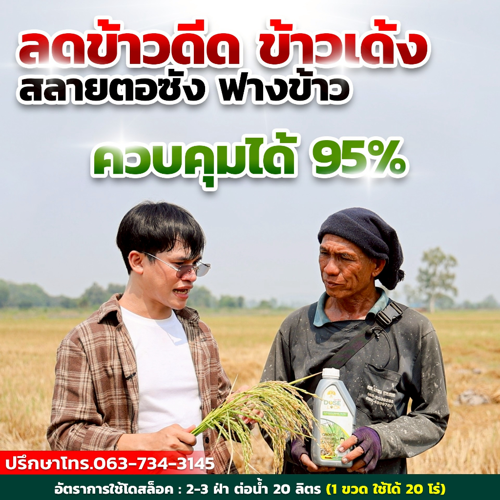 [ส่งเร็วทันใจ] โดสล๊อค DOSE LOCK ลดข้าวดีด ข้าวเด้ง ย่อยสลายตอซัง ฟางข้าว - รูปที่ 5