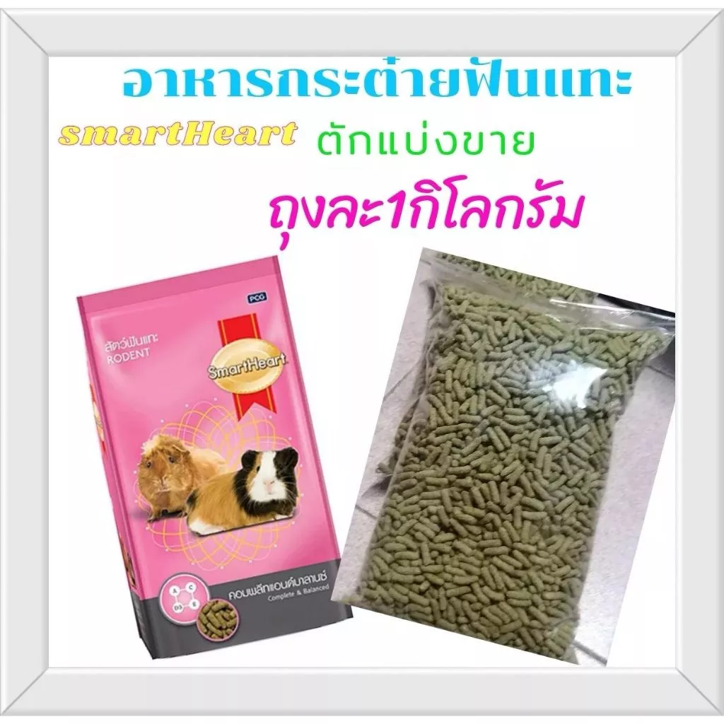 โรงงานขายตรง แบ่งบรรจุ 1 กก. ถุงซิป สมาร์ทฮาร์ท สัตว์ฟันแทะ SmartHeart Rodent แกสบี้ หนูตะเภา หนูขวัญ กระต่าย ส่งด่วนทุก