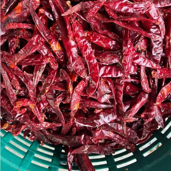 [ 2 กิโลกรัม ] พริกชี้ฟ้าแห้ง ของแท้ ไม่เผ็ด (1 กิโลกรัม 2 ถุง) - รูปที่ 3