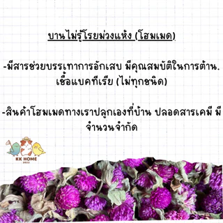 ดอกบานไม่รู้โรยม่วงโฮมเมด ดอกบานไม่รู้โรยม่วง บานม่วง อาหารเสริมสำหรับนกแก้ว