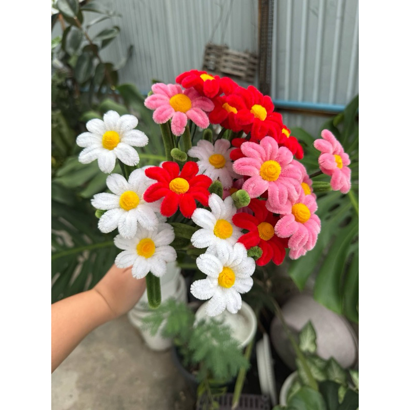 ดอกเดซี่ดอกเดี่ยว (พร้อมส่ง) แจ้งสีทางแชทได้