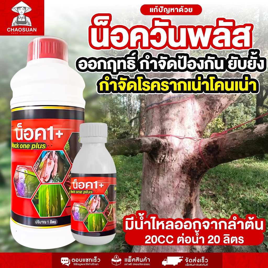 ออกฤทธิ์ กำจัดป้องกัน ยับยั้ง กำจัดโรครากเน่าโคนเน่า แก้ปัญหาด้วยน็อควันพลัส มีน้ำไหลออกจากลำต้น
