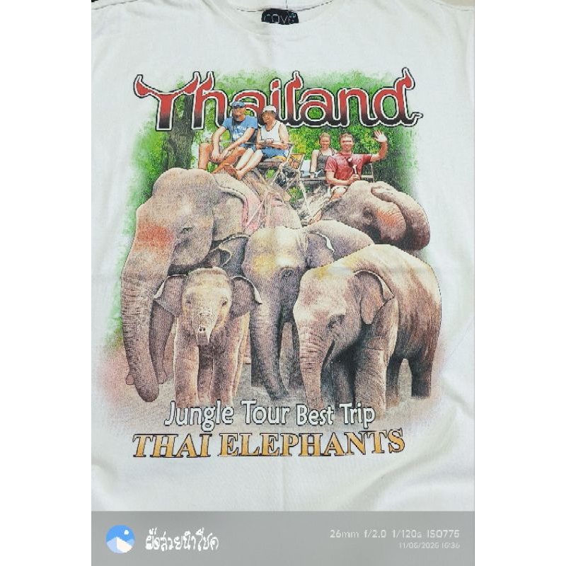 D35❤️รอบอก44 ยาว28" 🆕งานThailand ช้าง เสื้อยืดมือ2 แบรนด์ วินเทจ การ์ตูน วง ลายมันส์ ราคาถูก สภาพดี 