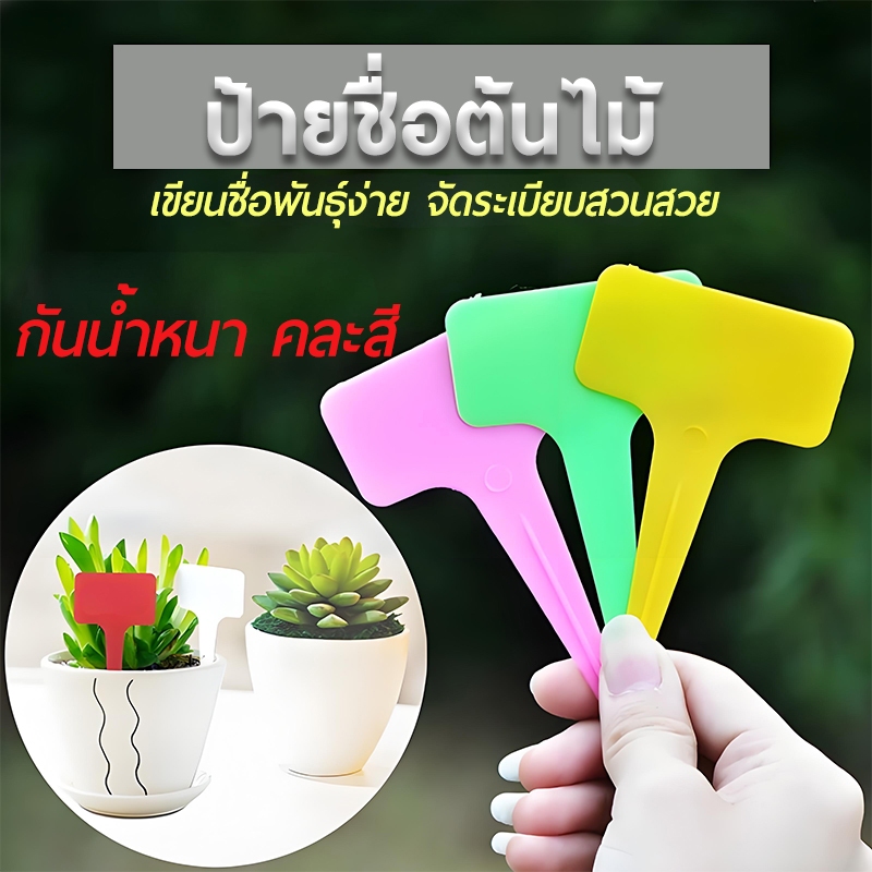 100ชิ้น ป้ายชื่อต้นไม้ ขนาด10 ซม. x 6 ซม ป้ายชื่อพลาสติก PVC ป้ายต้นไม้ ป้ายสวน ป้ายเมล็ดพันธุ์