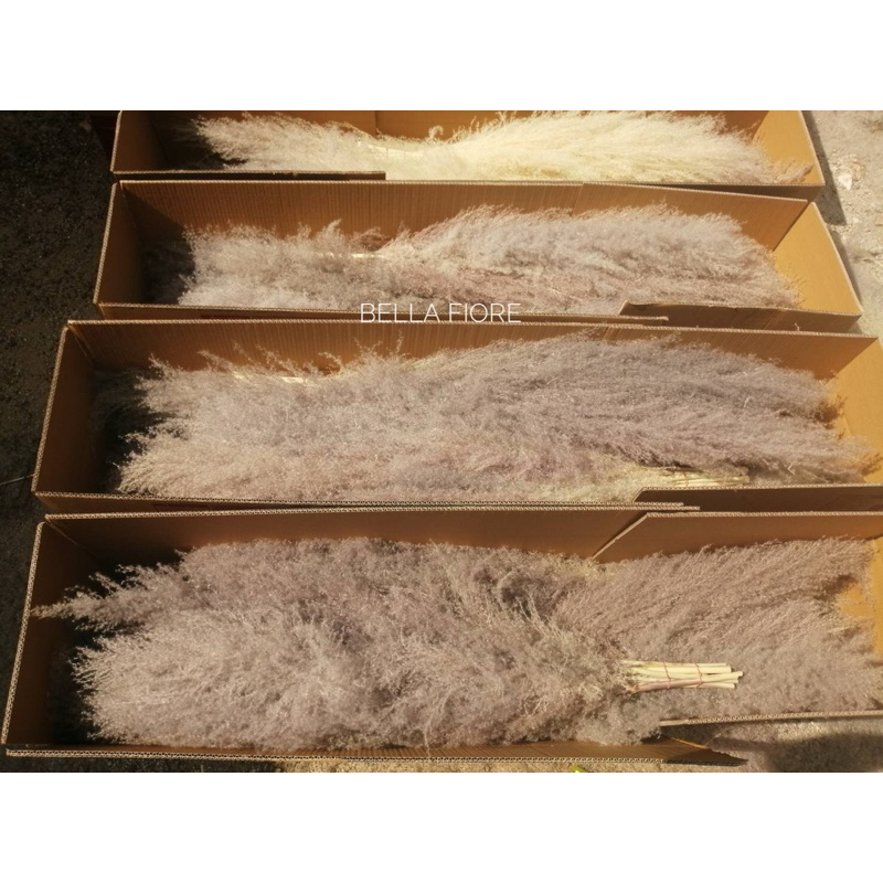 หญ้าเลา แพมพัส ดอกไม้แห้ง ราคาต่อ1ก้าน ราคาเริ่มต้นก้านละ 10 บาท พร้อมส่งจาก กทมเลยจ้า ราคา ถูกที่สุด ดีลบีเคเค แกลเลอรีภาพที่ 6