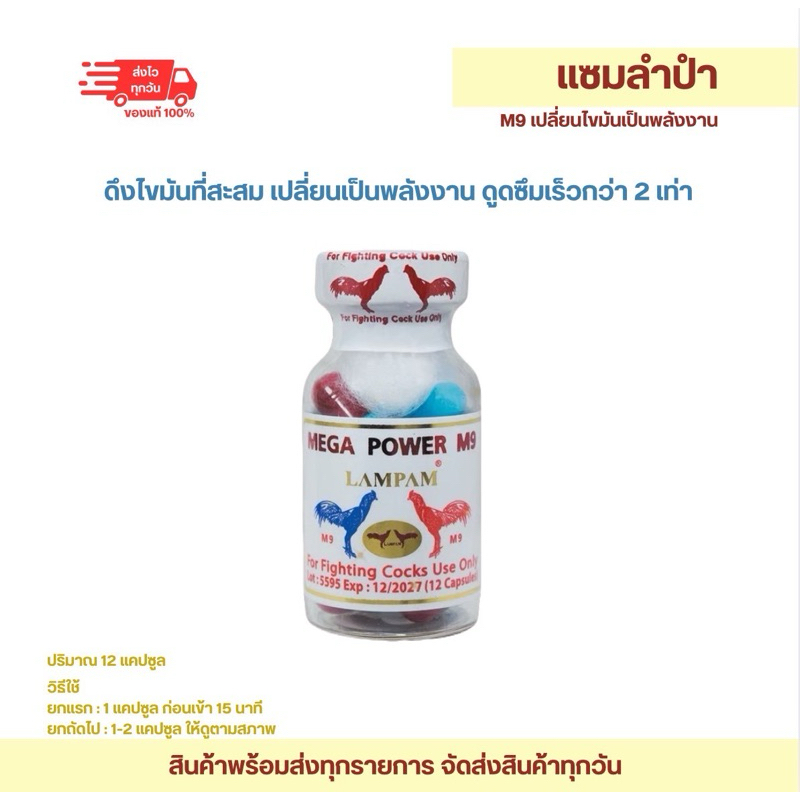 ลำปำ…อาหารสัตว์ปีก Mega po-wer M9