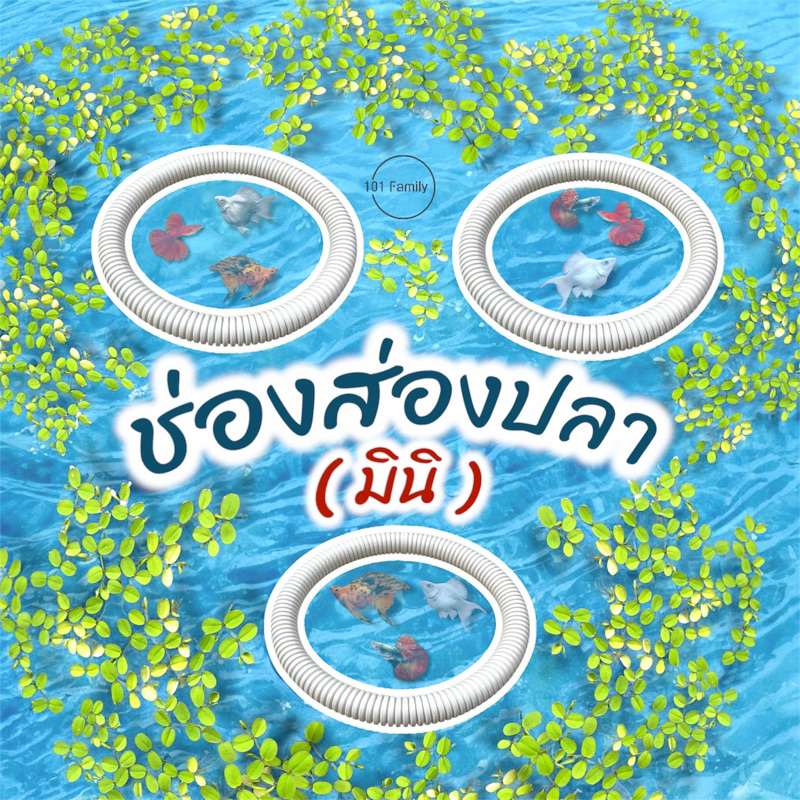 ช่องส่องปลา (มินิ) วงให้อาหารปลา อุปกรณ์กั้นจอกแหนและให้อาหารปลาบนผิวน้ำ ห่วงพลาสติกสีขาว จอกแหน อ่าง ปลา ไม้ ลอย น้ํา