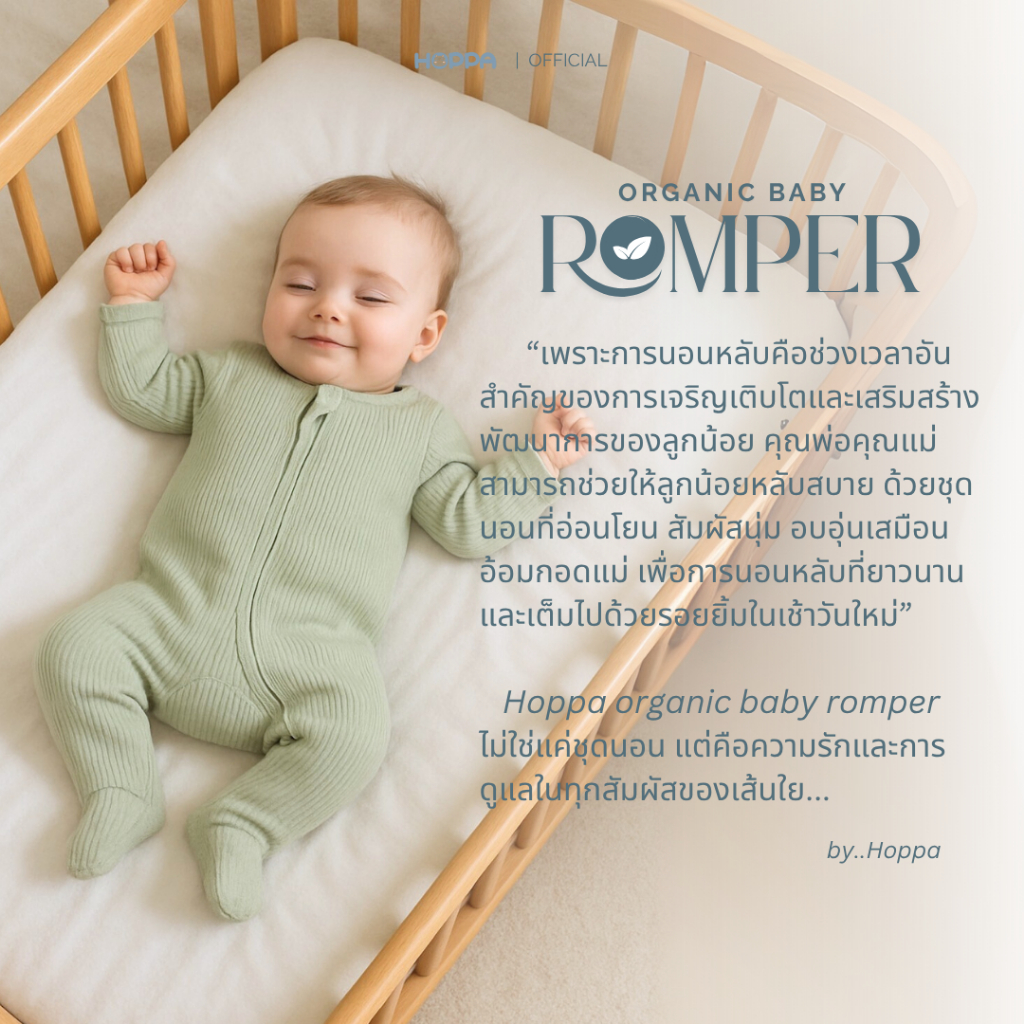 รูปภาพ 2