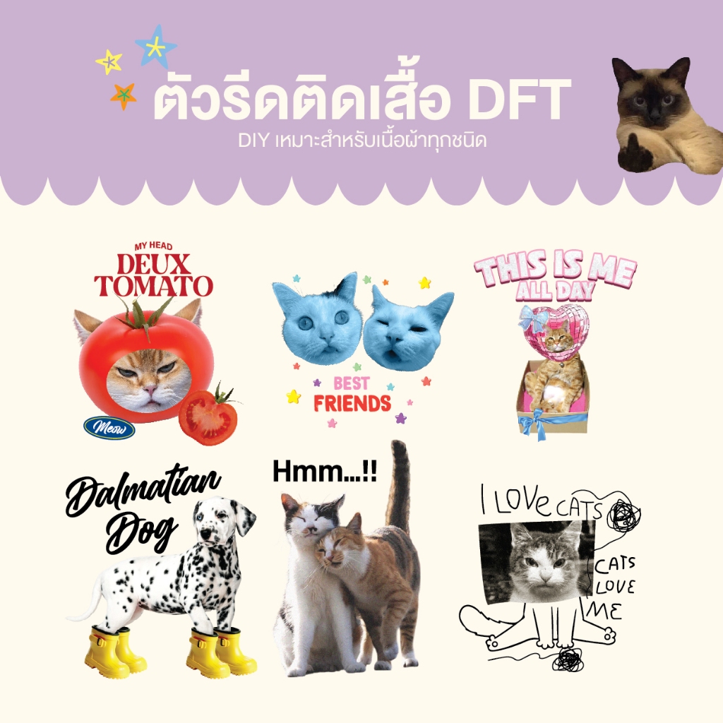 แผ่นรีด ตัวรีด ติดเสื้อลายมีมตลก มีมสัตว์เลี้ยง set3