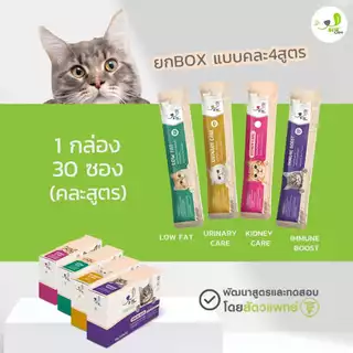 BiteCare ขนมแมวเลีย 1กล่อง คละสูตร