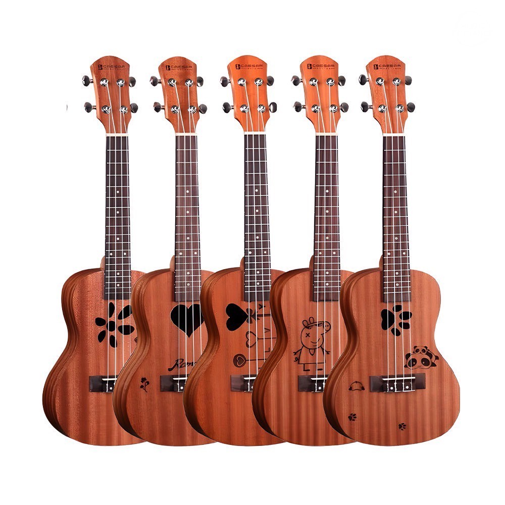 Caesar Ukulele (อูคูเลเล่)  คอนเสิร์ต