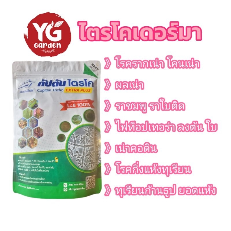 ไตรโคเดอร์มา กัปตัน ช่วยป้องกันและกำจัดเชื้อราต่างๆ 100 และ 500 กรัม