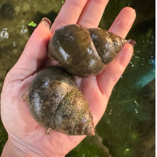 รูปภาพ 3