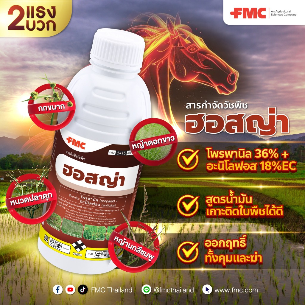 ฮอสญ่า โพรพานิล (propanil) + อะนิโลฟอส (anilofos) 18% EC สารกำจัดวัชพืช 2 แรงบวก ✨ ขนาด 1 ลิตร