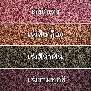 อาหารเร่งสีปลาช่อนสวยงาม (เม็ดลอย)