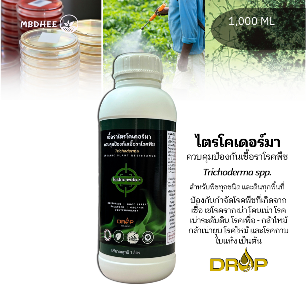 เชื้อราไตรโคเดอร์มา Trichoderma ชนิดน้ำ ขนาด1ลิตร ยับยั้งและทำลายเชื้อราสาเหตุโรคพืช
