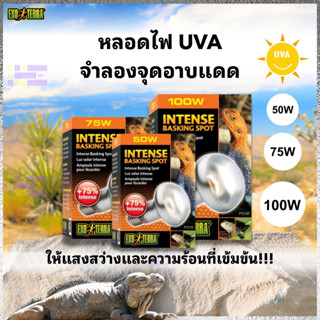 [ส่งด่วน] Exo Terra Intense Basking Spot หลอดไฟ UVA ให้แสงสว…