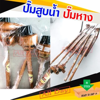 ปั๊มหาง สูบน้ำ ขนาด 2 นิ้ว ท่อยาว 2 เมตร ยี่ห้อ STP