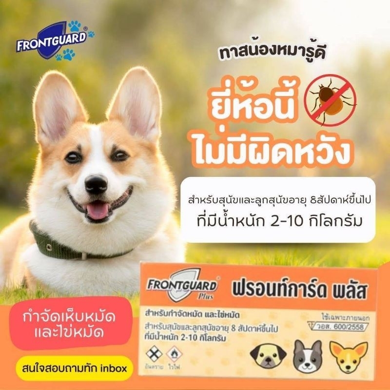 ถูกสุดๆ✅ Frontguard Plus ฟรอนท์การ์ด พลัส ยาหยอดกำจัดเห็บ หมัด แมวและสุนัข 1 กล่อง(สั่งซื้อ100ขึ้นไป รวมทุกอย่างได้)